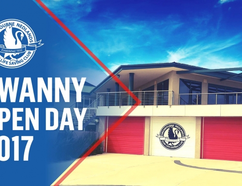 Swanny Open Day